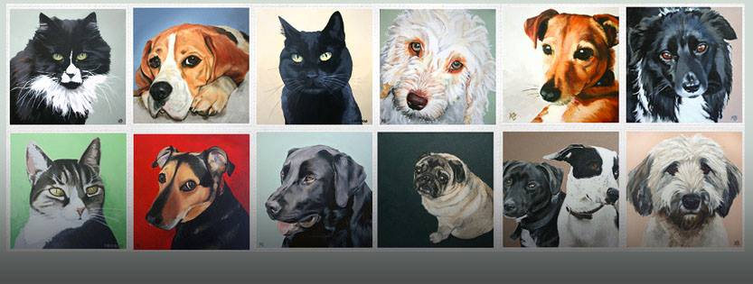 Cats and Dogs by Kylee Beencke - Portraits From Photos